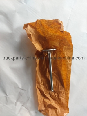 Sinotruk HOWO Τμήματα κινητήρα φορτηγών Vg1560051001 Βαλβίδα εισαγωγής για την αγορά της Νότιας Ασίας
