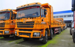 Μηχανή Weichai 8X4 6X4 10 τροχών 12 τροχών φορτηγό ντάμπερ για βαριές κατασκευές