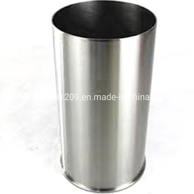 Ο κινητήρας ντίζελ της Sinotruk Wd615 Vg1540010006 με στήριξη σε δολάρια ΗΠΑ