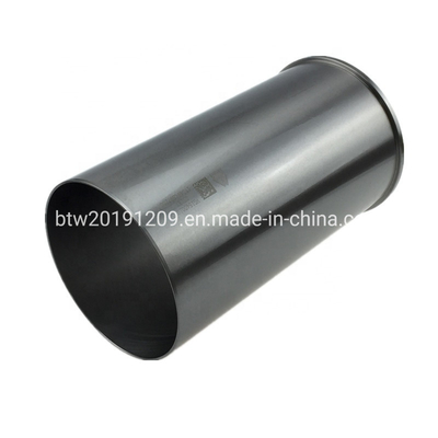Ο κινητήρας ντίζελ της Sinotruk Wd615 Vg1540010006 με στήριξη σε δολάρια ΗΠΑ