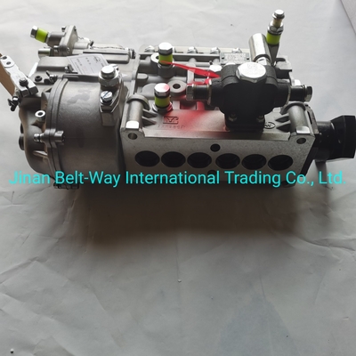 Sinotruk HOWO Truck Parts Fuel Injection Pump Vg1560080021 με υποστήριξη πληρωμής σε δολάρια ΗΠΑ
