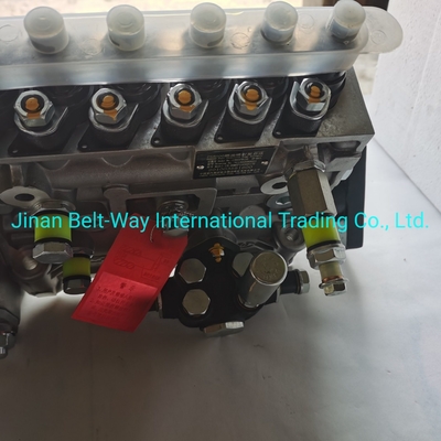Sinotruk HOWO Truck Parts Fuel Injection Pump Vg1560080021 με υποστήριξη πληρωμής σε δολάρια ΗΠΑ