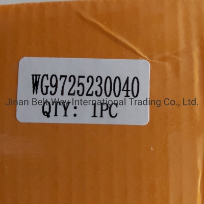 Μέρη συστήματος πέδησης Wg9725230040 Κύλινδρο ενισχυτής συμπλέκτη για φορτηγό Sinotruk HOWO OEM