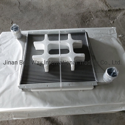 Εναλλακτικά εξαρτήματα φορτηγών Sinotruk HOWO Supercharged Intercooler Wg97255300250 Wg9725530020